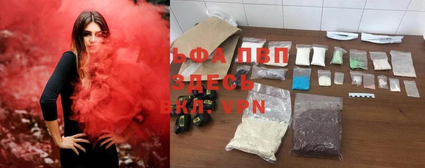 трава Абаза