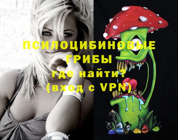 ешки Покровск