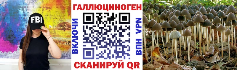 мега маркетплейс  Кириллов  Галлюциногенные грибы ЛСД 